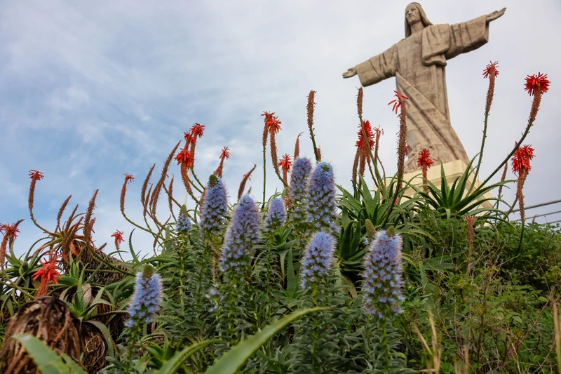 Сказочная Мадейра: уютные городки, треккинг в горах, океан и дегустации вина