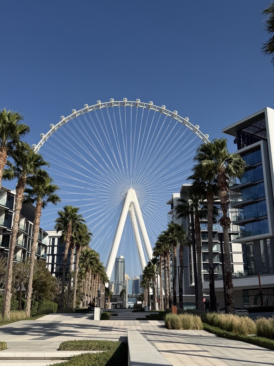 Шахзод провел интересную экскурсию, с ним очень комфортно, как с лучшим другом. Интересный собеседник, много нового