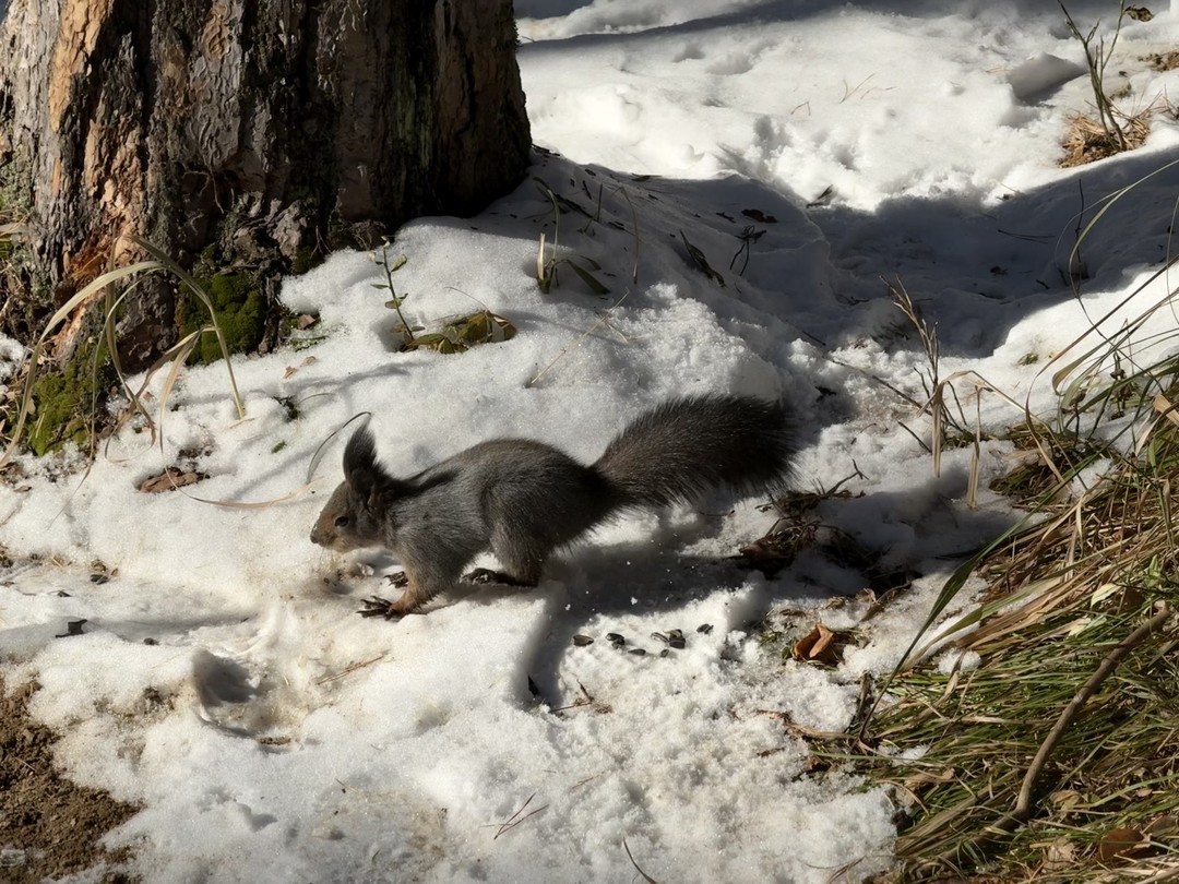Великолепное мини-путешествие в историю, географию, красивый маршрут, вовлеченный гид надолго оставят приятные воспоминания о чудесном сибирском крае