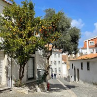 Фото отзыва 4: экскурсия "От статуи Христа до мыса Рока"