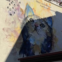 reviews img