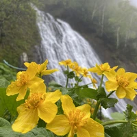 Фото отзыва 2: экскурсия "Сокровища побережья Сахалина — в мини-группе"