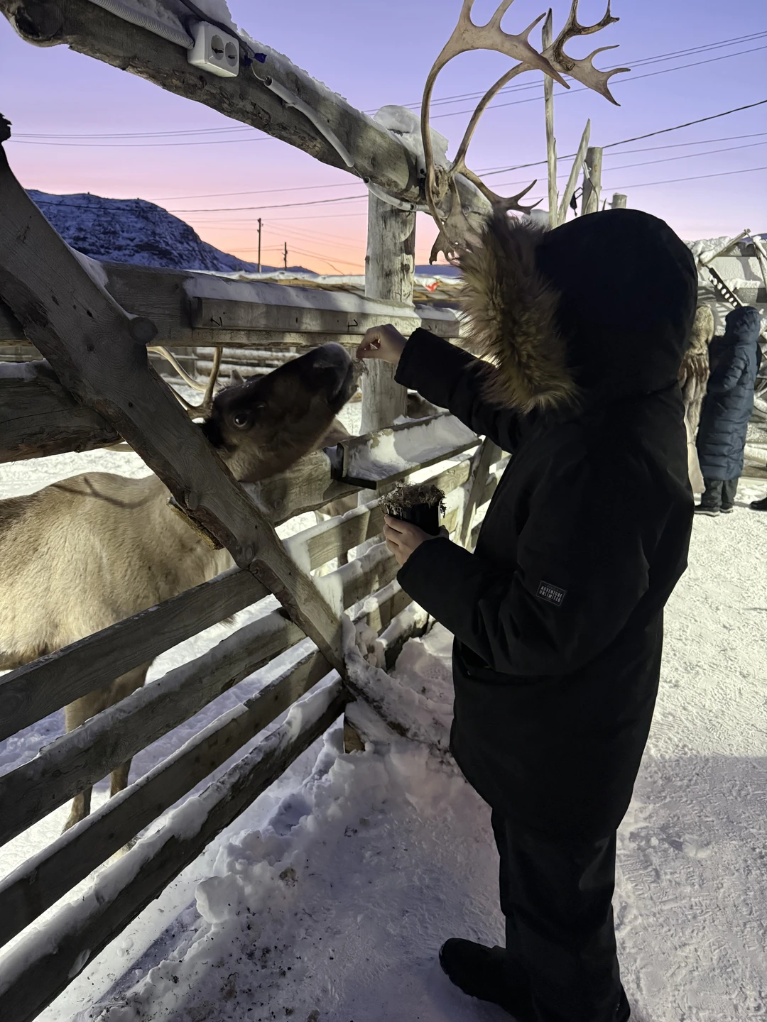 В Териберку на свидание с Баренцевым морем (Наталья)