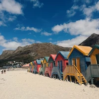 Фото отзыва 1: экскурсия "ЮАР — Кейптаун: мыс Доброй Надежды, пингвины и захватывающий Чапменс-Пик"