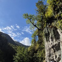 Отзыв о экскурсии "Абхазия с открытки — из Сочи и Адлера" — фото 2