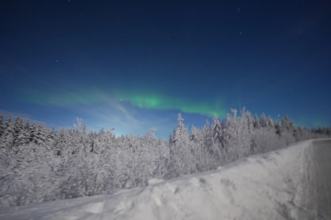 Северное сияние: чудо света в Мурманске (Елена)