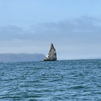 reviews img