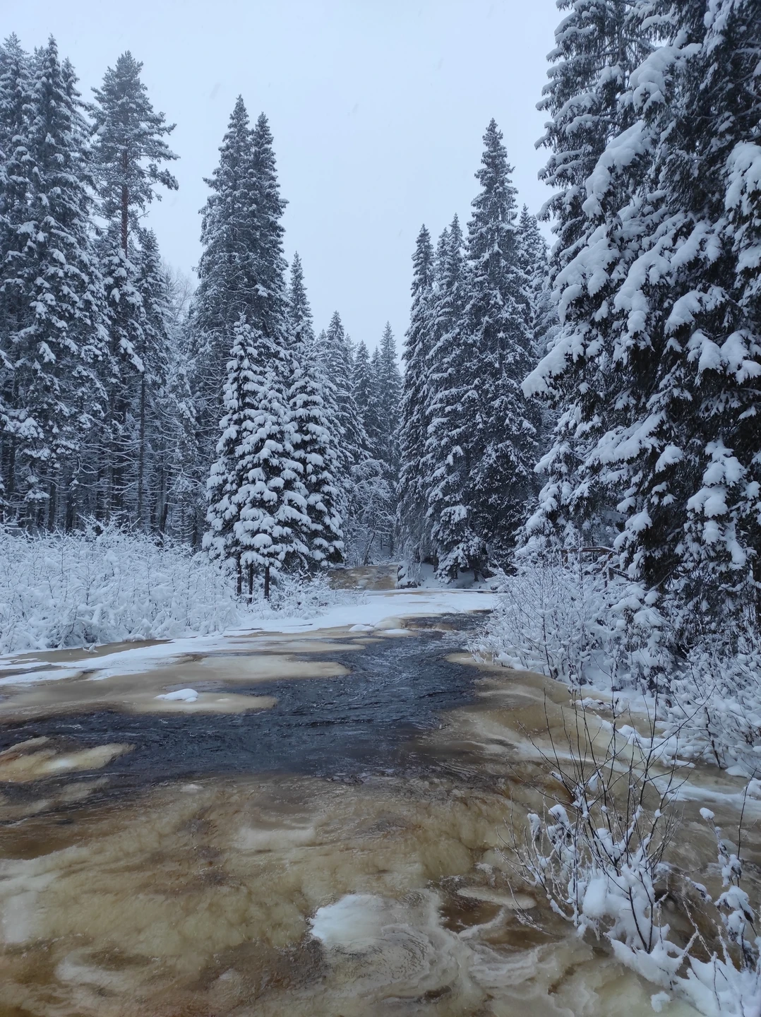 Хотим поблагодарить гида Марину и водителя Дмитрия за чудесную экскурсию. Марина рассказала много познавательного и интересного