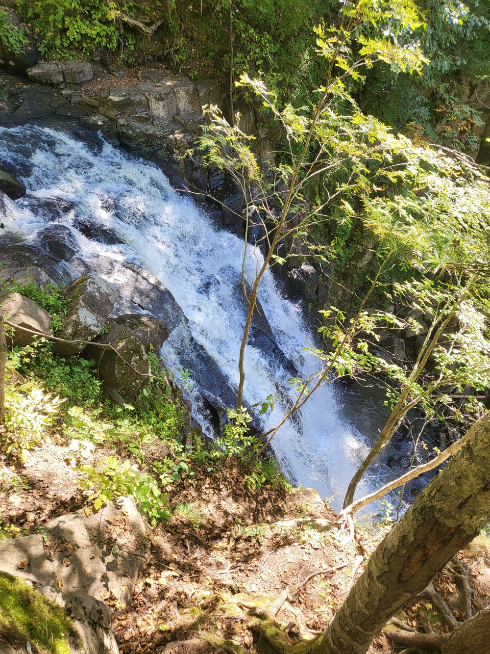 Приморский сафари-парк, бухта Стеклянная и мыс с двухтысячной купюры. Индивидуальная экскурсия (19/19)