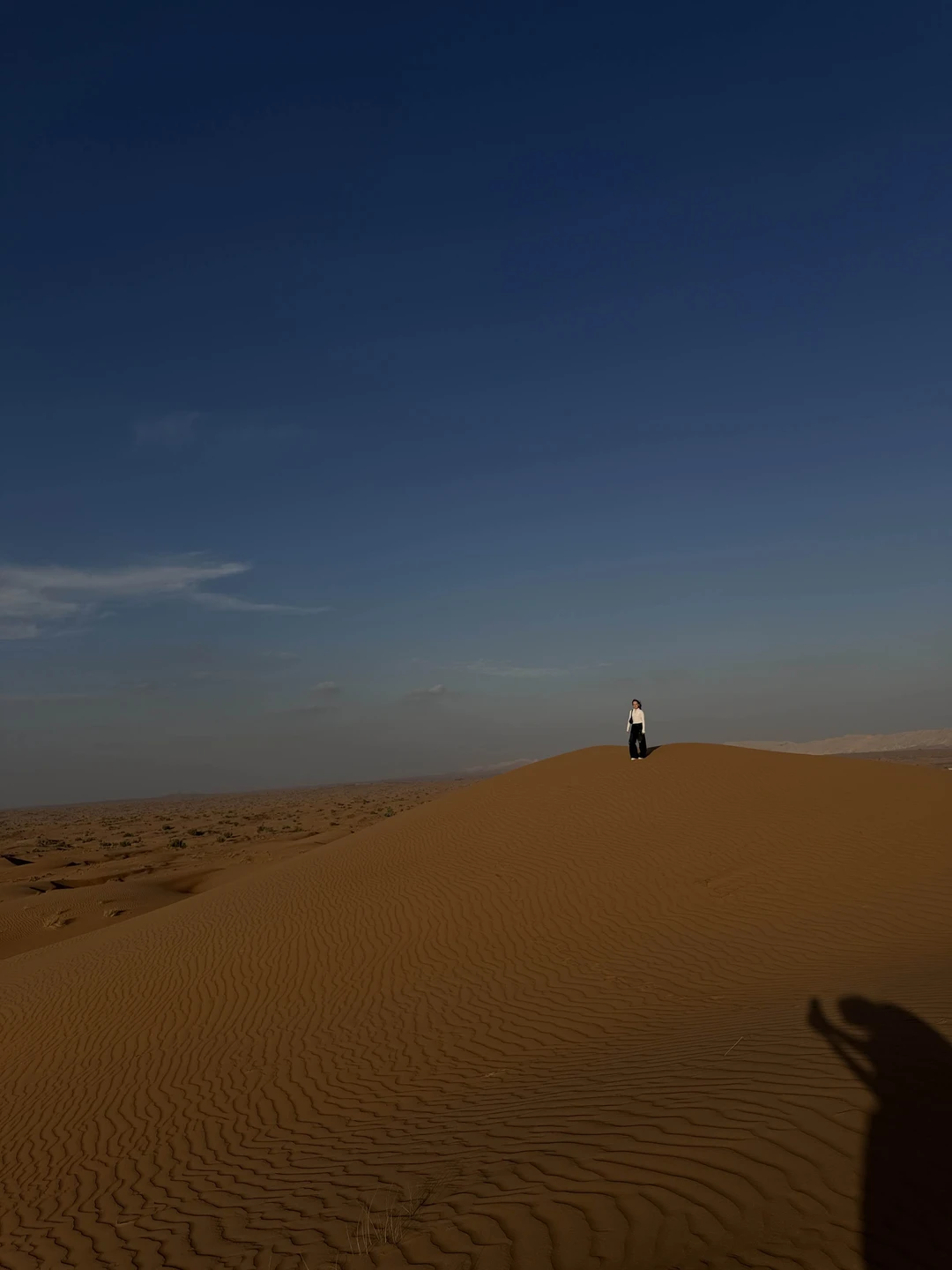 Классная сафари 🔥 гид настоящий араб, что очень сильно порадовало. Все рассказывает, отвечает на вопросы. Сафари