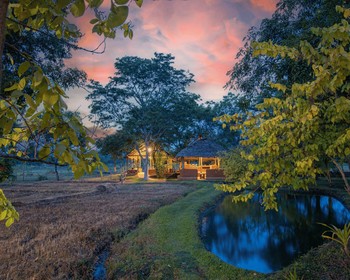 Фото отзыва 4: авторский тур "Индивидуальный трип по Шри-Ланке с пляжным отдыхом и погружением в культуру"