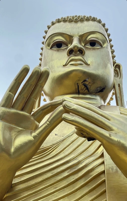 Тур-знакомство со Шри-Ланкой: чайные плантации, легендарный поезд и подъёмы на вершины - Фото 5