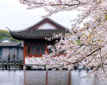 Ханчжоу и чайные холмы