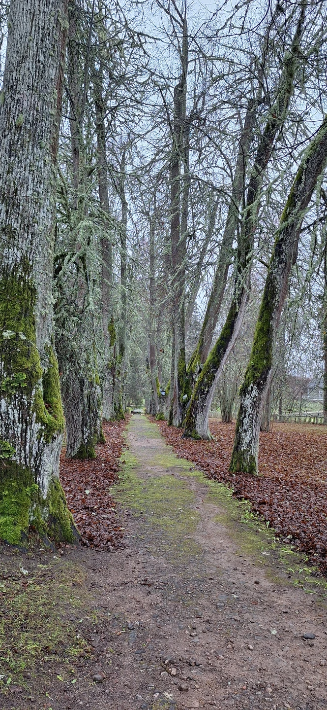 Очень понравилась экскурсия! Места просто сказочные! Рассказ экскурсовода очень интересный, много подробностей из жизни Пушкина и
