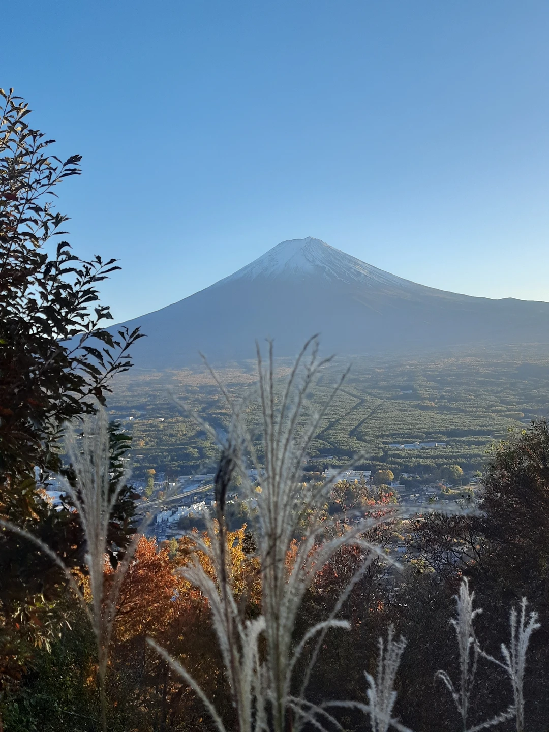Шикарная экскурсия! Огромное спасибо гиду! Фудзияма весь день была видна, правда верхушечка закрывалась облаками периодически, но