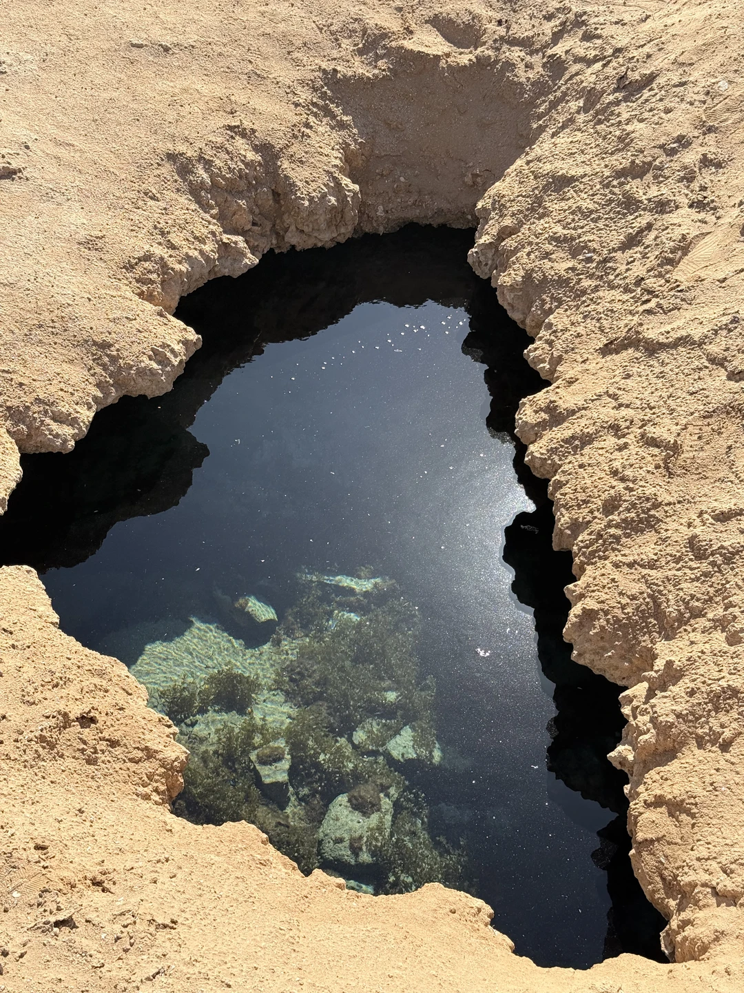 Я возлагал очень большие надежды на эту экскурсию, так как мечтал насладиться подводным видом Красного моря