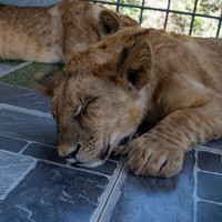 Фото отзыва 2: экскурсия "Из Фантьета — в Далат на целый день"