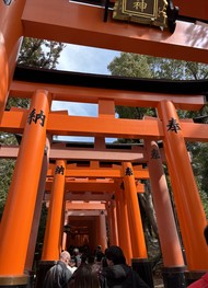 Фото отзыва 4: экскурсия "Киото и&nbsp;Нара: 2&nbsp;города за&nbsp;1&nbsp;день"