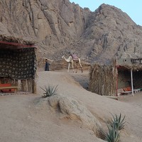 Фото отзыва 1: экскурсия "Сафари по пустыне на рассвете!"