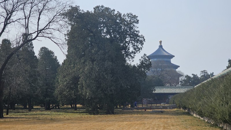 Отличный гид Николай. Интересная экскурсия и рассказ о достопримечательностях Пекина. Хороший маршрут