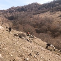 Фото отзыва 3: экскурсия "Поход по Ореховому ущелью"