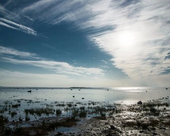 День в вашем распоряжении