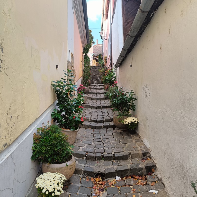 Прекрасная экскурсия, нас в группе было всего 3 человека и это было здорово и чувствовалось как