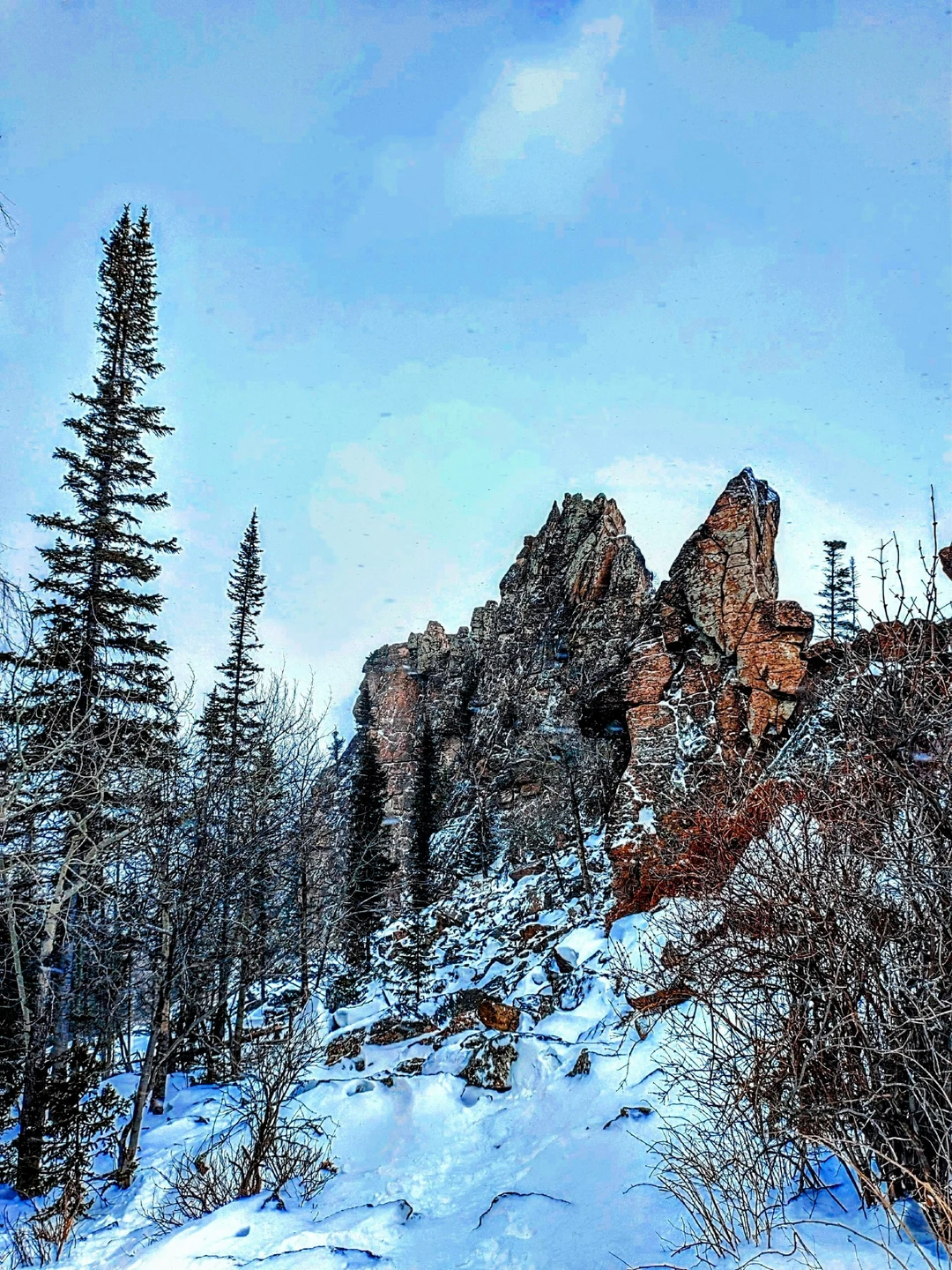 Мой день 7 января 2026г