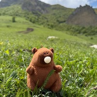 reviews img