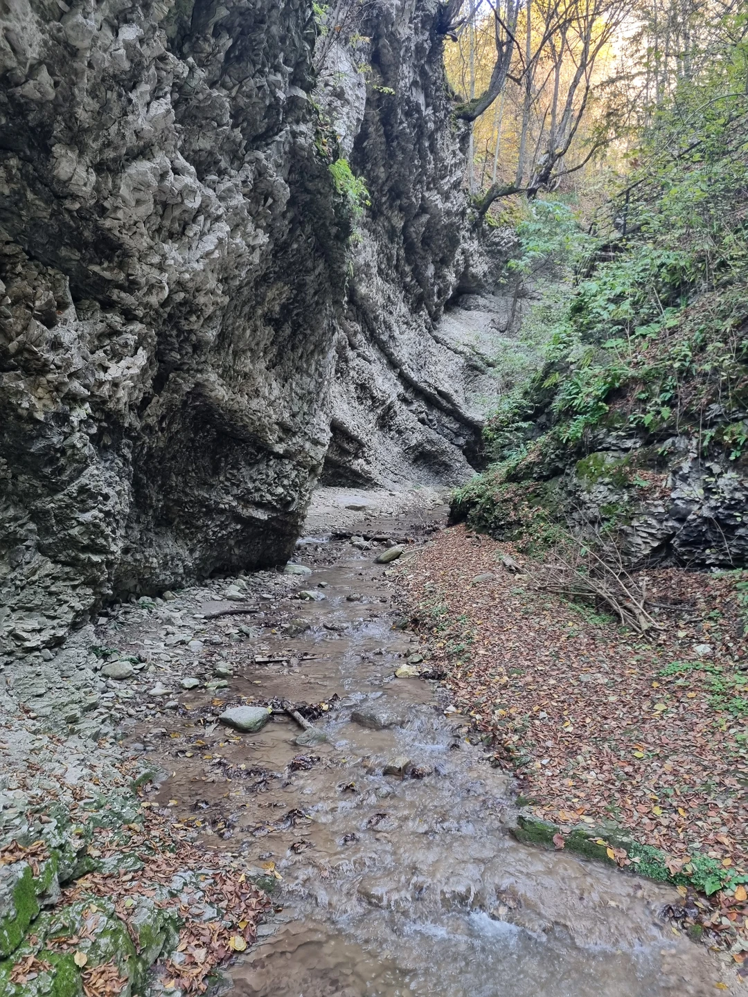 Великолепная экскурсия, остались очень довольны! Спасибо гиду Руслану за подробный экскурс в историю чеченского народа -
