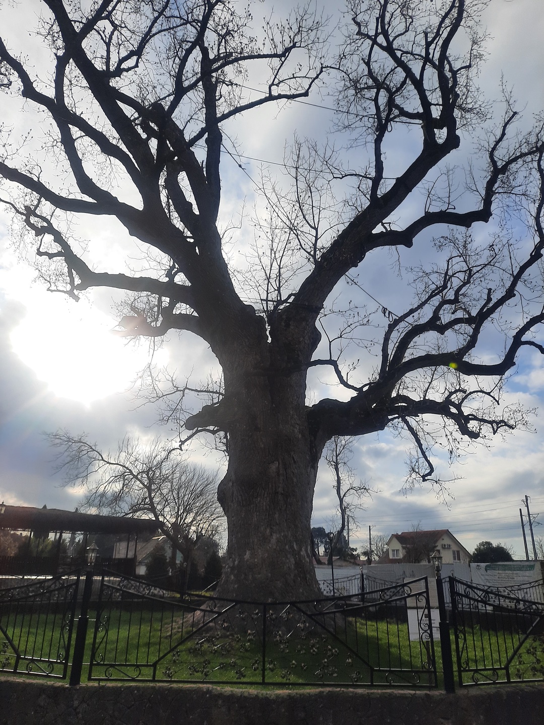 Брали индивидуальную экскурсию 5 января 2023 года. Машина подьехала вовремя, сразу оговорили маршрут и наши пожелания.