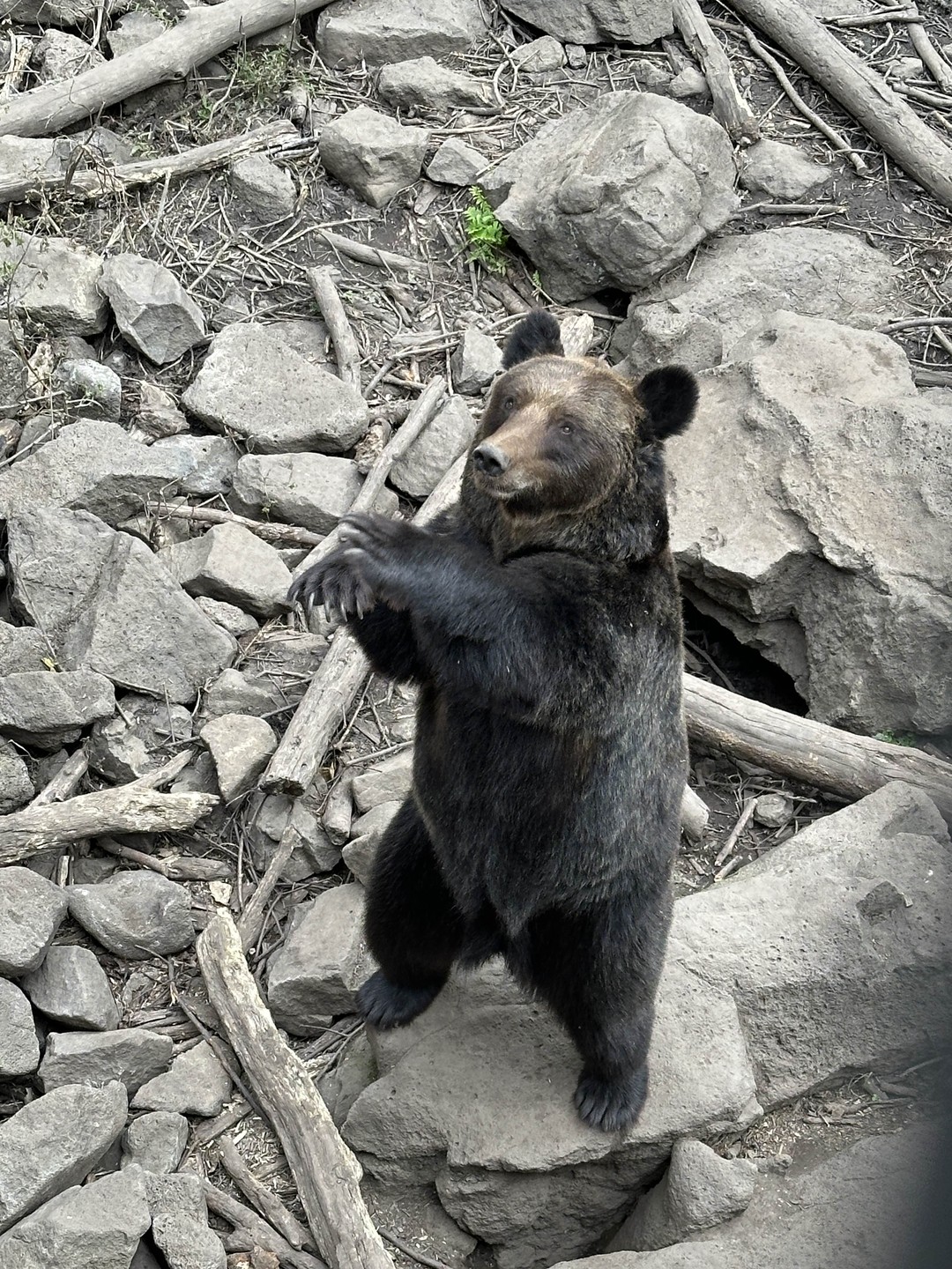 Экскурсия из групповой неожиданно трансформировалась почти в индивидуальную, гид Любовь очень интересно и познавательно рассказывает и