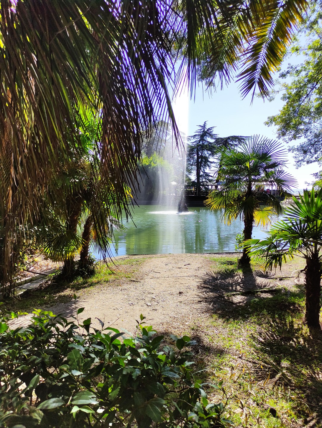 Авторская индивидуальная вайб-экскурсия в Абхазию (Арина)