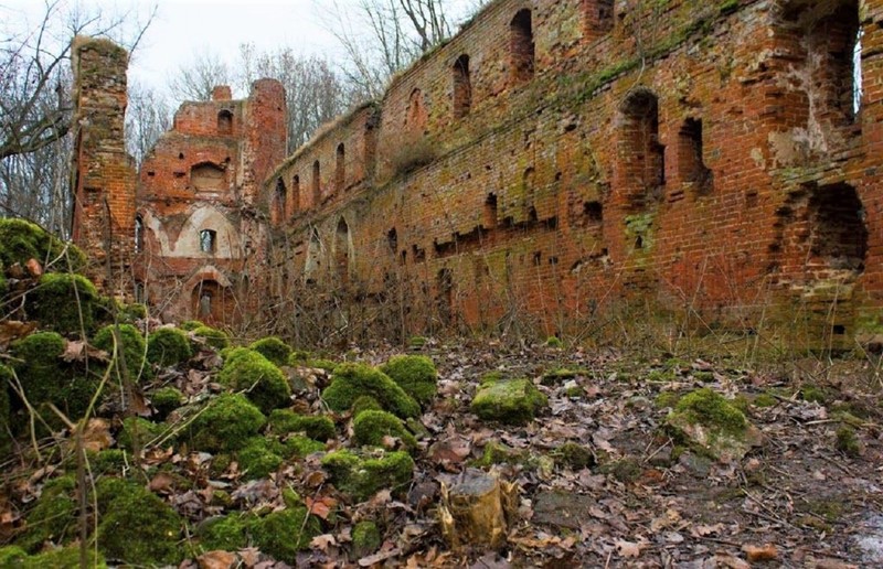 Виды Путешествие в стиле сафари по Калининградской области