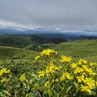 Фото отзыва 3: экскурсия "Домбай — место силы. Путешествие в мини-группе"