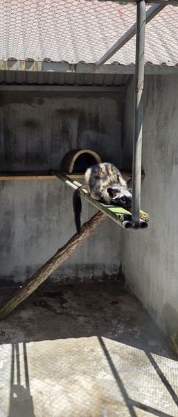 Наш шид, Павел, провел для нас великолепную эксурсию. Еще один Великолепный День во Вьтнаме в нашу копилку