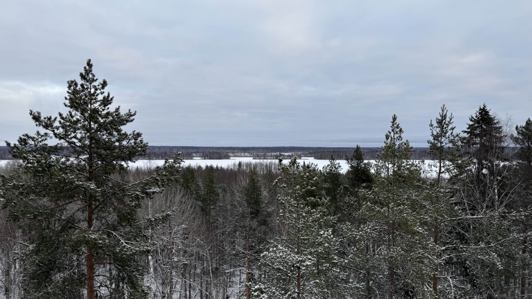 Игорь хороший водитель и рассказчик