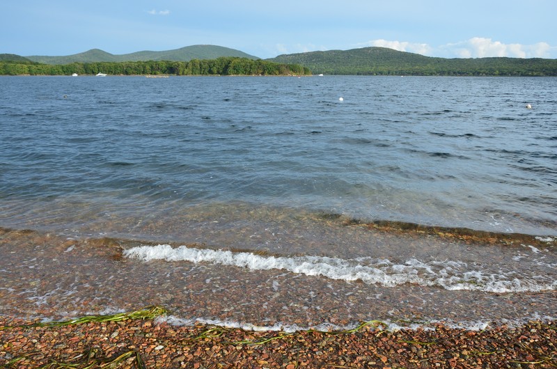 Виды Поездка на остров Русский с посещением морской фермы