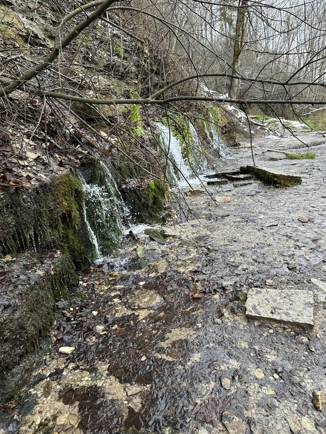Всем, кто хочет знать «откуда есть пошла земля русская», поможет прекрасный гид Даниил, который прекрасно осведомлён об этом