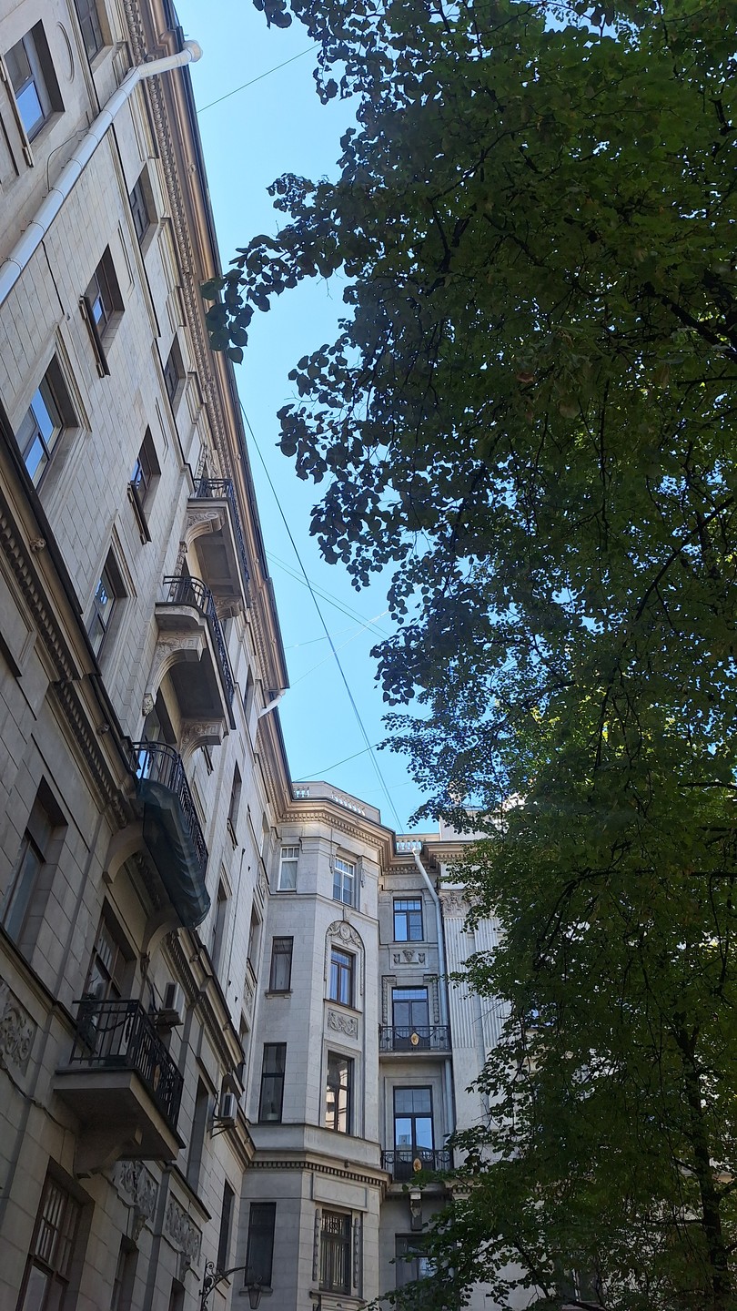 Дворы и дворцы Петроградки: прогулка во времени (Людмила)