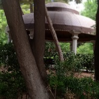 reviews img