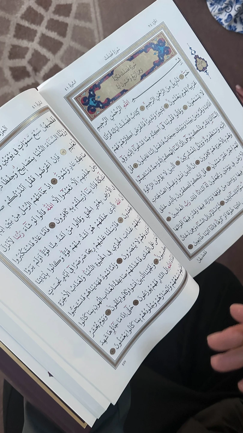 У нас была экскурсия по азиатской части и проводил Омер. Невероятно приятный гид, действительно, как друг