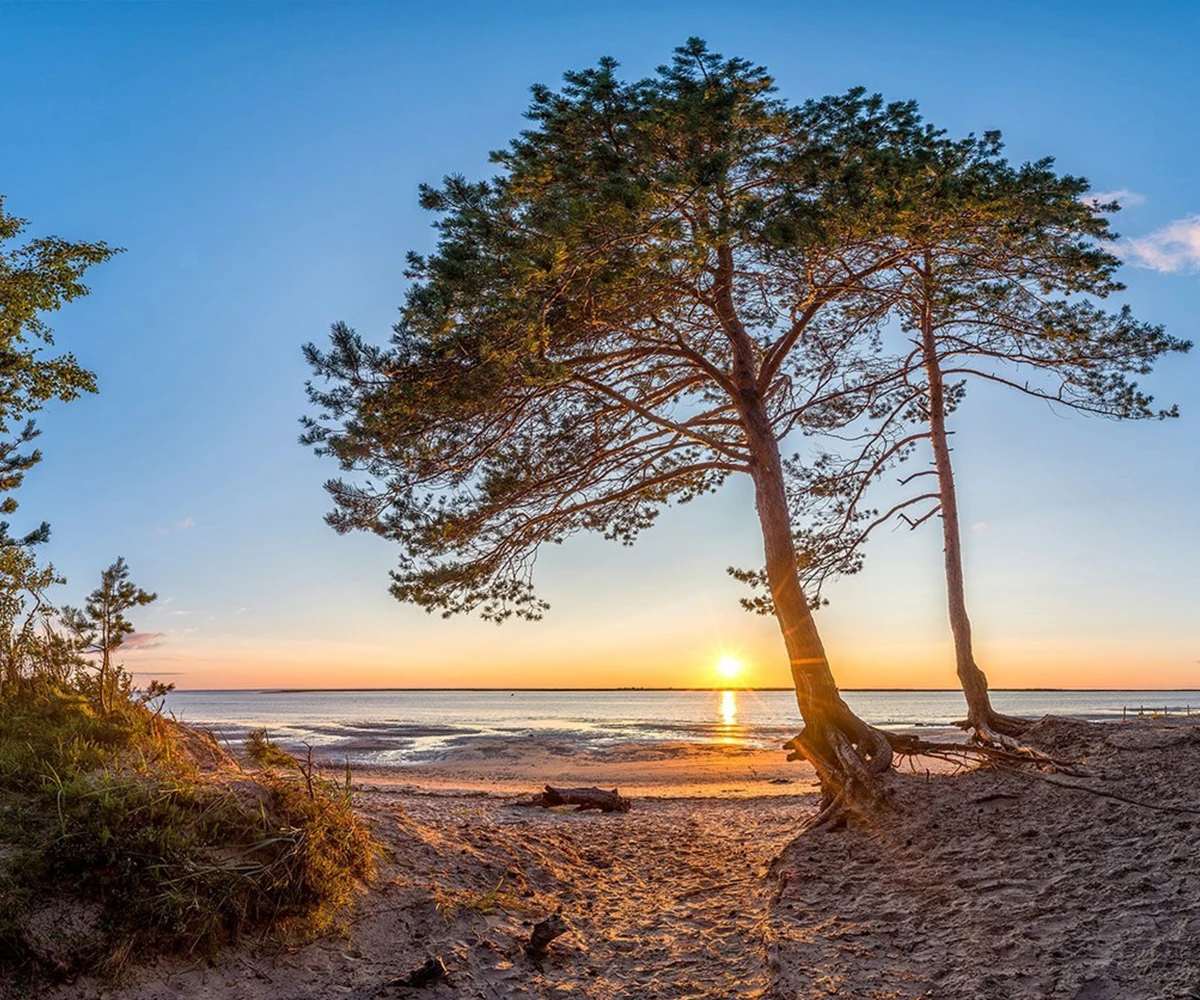 Из Санкт-Петербурга — в атомный город Сосновый Бор! (4/8)