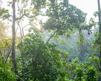 День тишины и интеграции