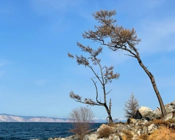 Знакомство с достопримечательностями Ольхона, пикник