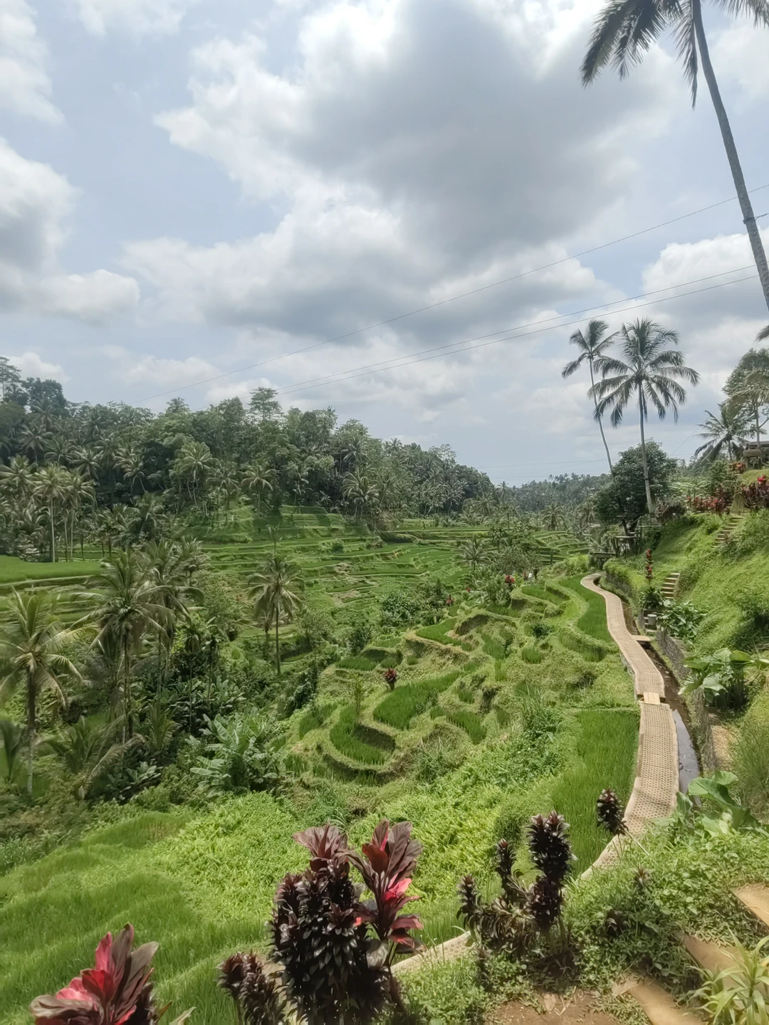 Очень классная экскурсия и гид Маде нам очень понравился! Невероятные места, шикарные фотографии, комфортный трансфер. Маде