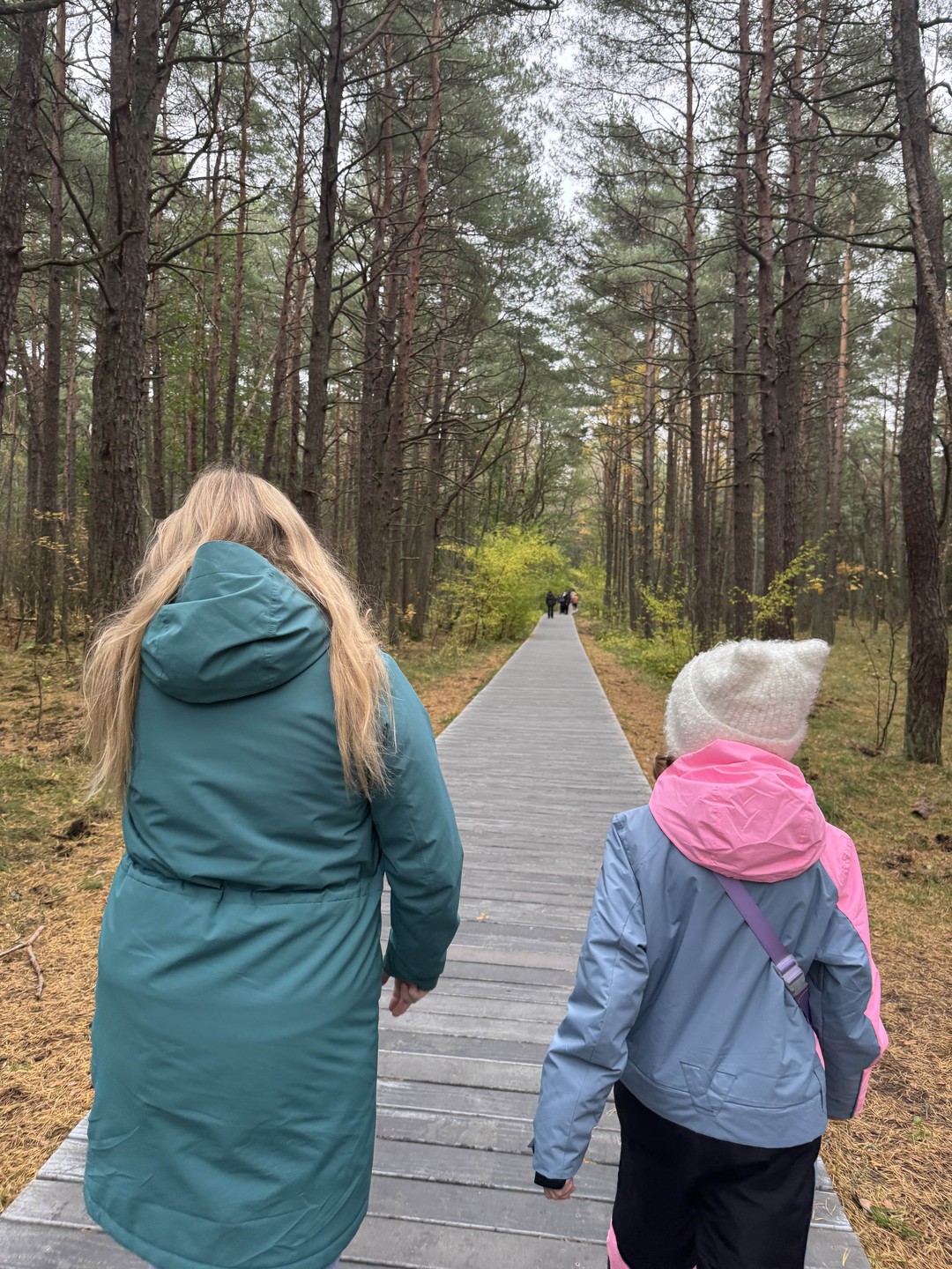 Екатерина - замечательный рассказчик и прекрасный водитель! Пять часов с ней пролетели очень быстро и увлекательно