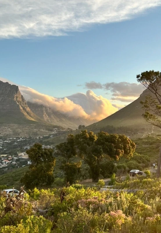 Кейптаун и окрестности: в Южную Африку за сафари, вином и океаном