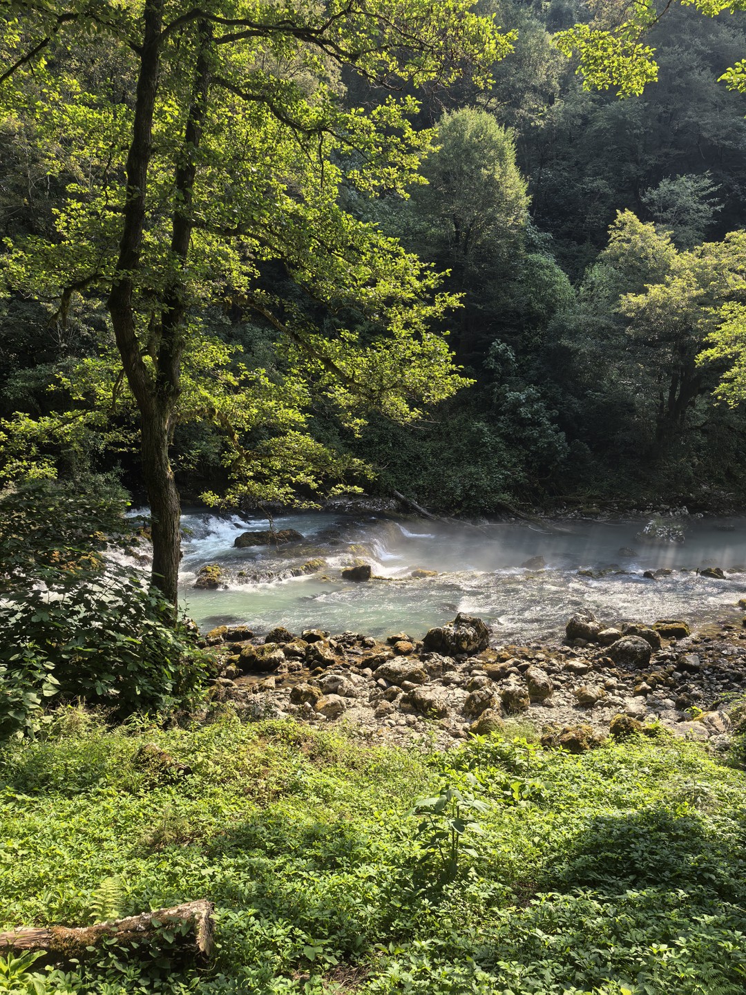 Отправились с Владиславом в Абхазию, и это было круто! Маршрут необычный — Владислав показал такие места