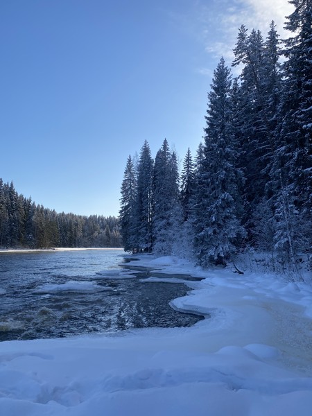 Очень красиво, вкусно и интересно! в первый день мы гуляли по Ладоге, местами снега было по